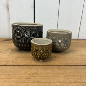 Owl Pots