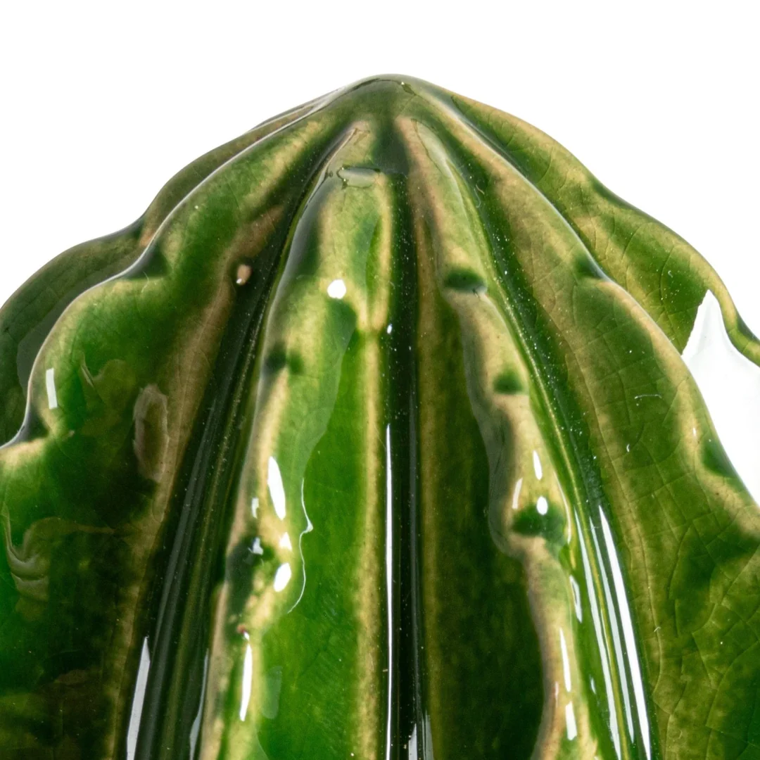 Stoneware Cactus Shaped Juicer - Image 7