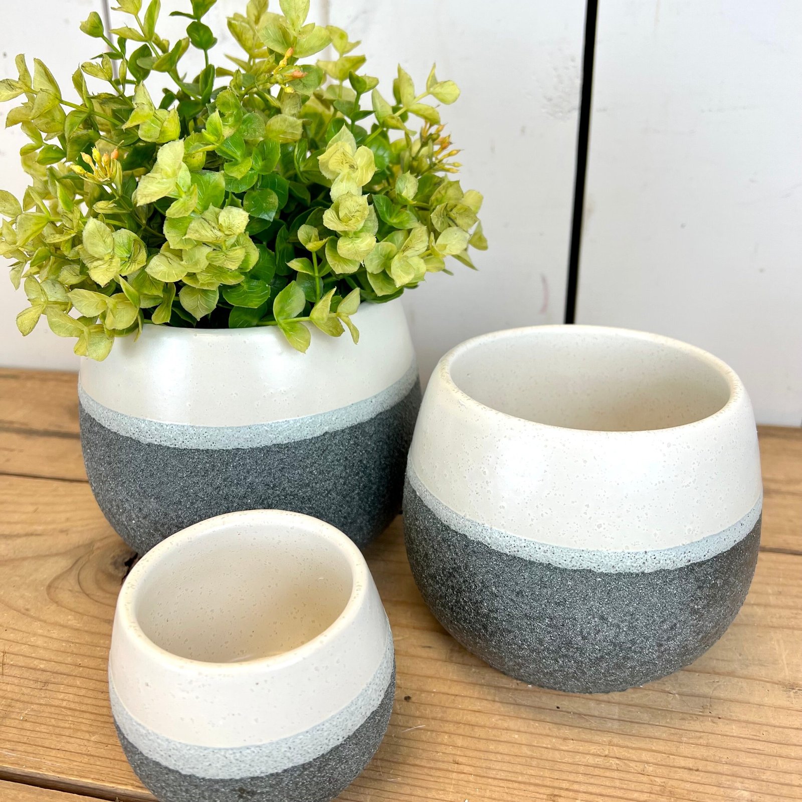 Two-Toned Planter - Set of 3 - Image 5
